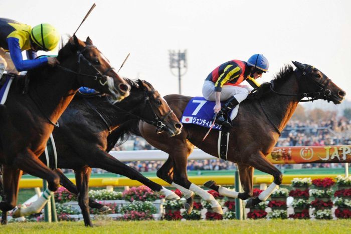 Gentildonna wins historic second Japan Cup - ABC News (Australian ...